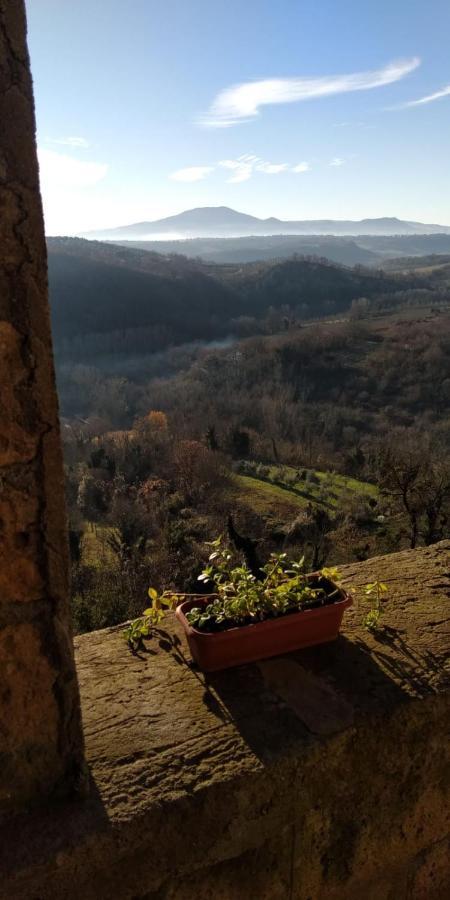 Dimora Turistica De' Piazza Hotel Roccalvecce Bagian luar foto