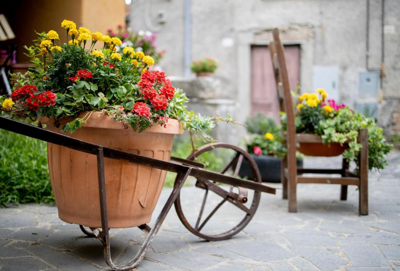 Dimora Turistica De' Piazza Hotel Roccalvecce Bagian luar foto